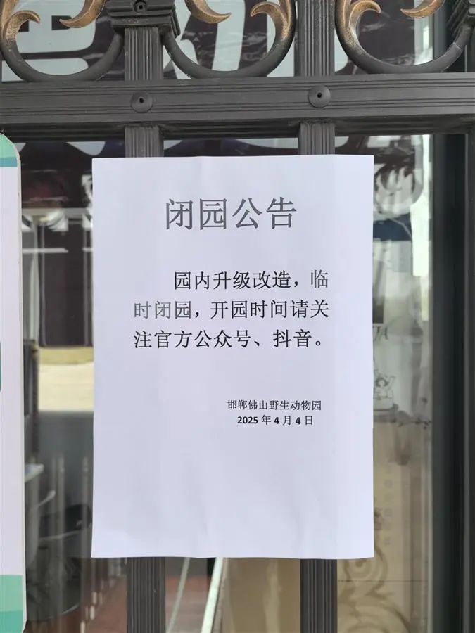 885566威尼斯实探邯郸“熊出逃”植物园：肇事的透风口已堵上黑熊出逃时期还吃了